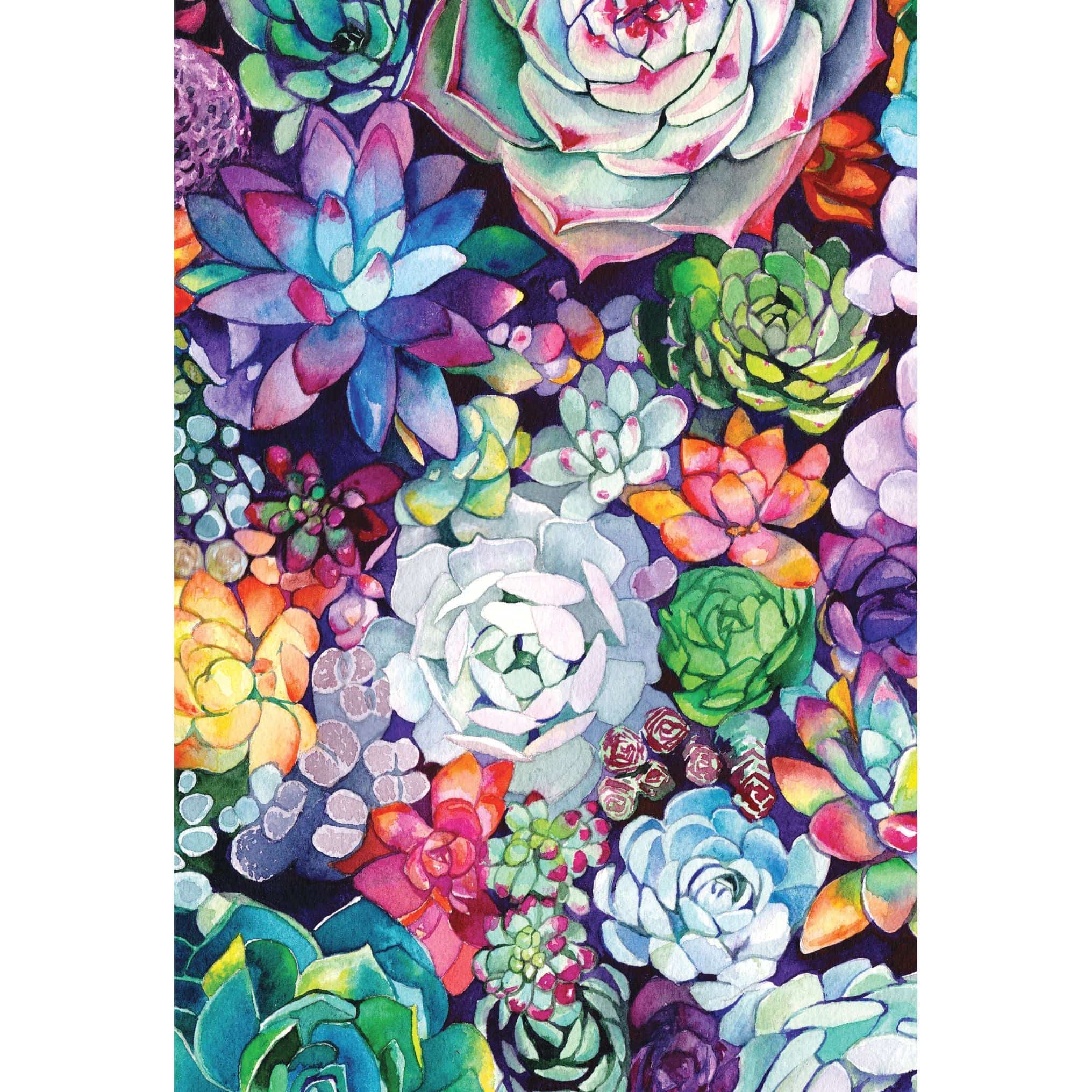 Pictura succulent garden birthday card featuring colorful illustrated succulents on a cheerful greeting card.
